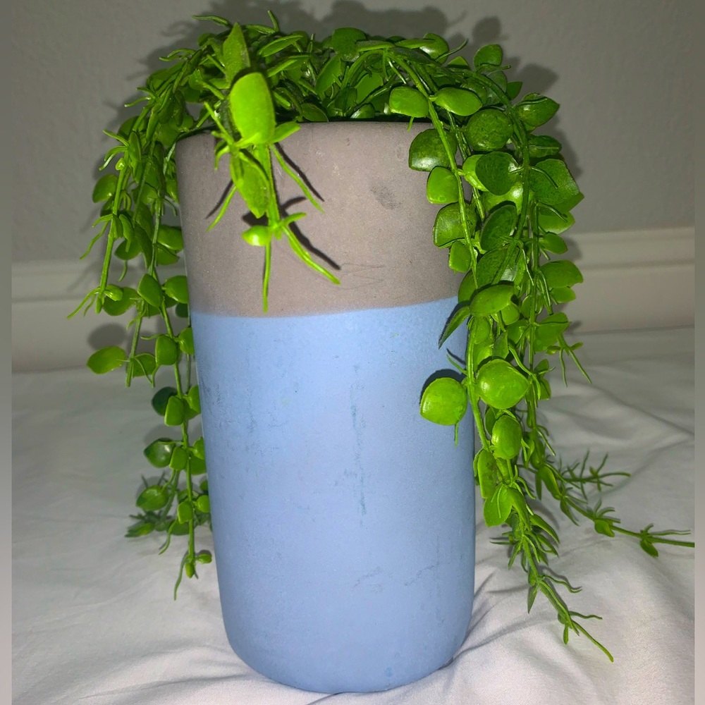 pretty blue a grey pot with succulent hanging out